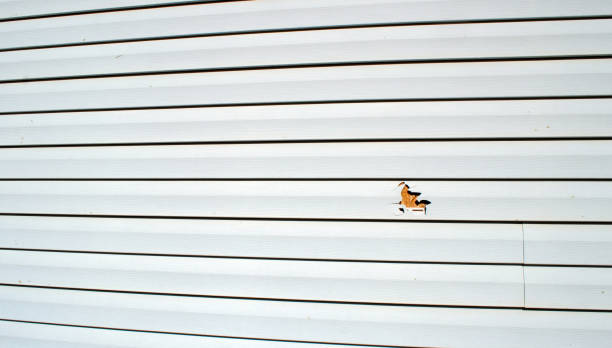 Best Custom Trim and Detailing for Siding  in Glendora, CA